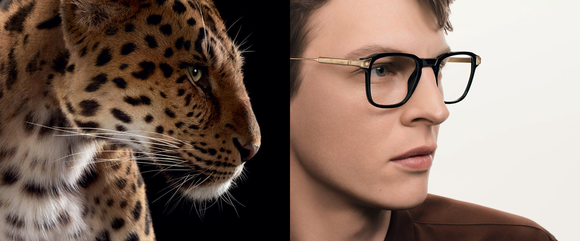 Cartier Optik