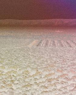 Brillen Reiniger Vision No.1 - Sandelholz und Matcha