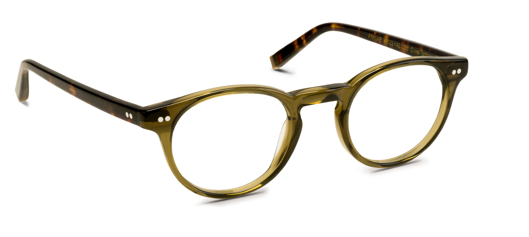 Frankie-Olive-Tortoise-2